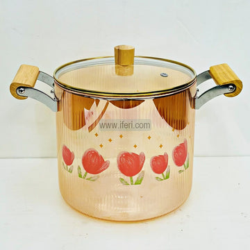 5.5 Liter Heat Resistant Borosilicate Glass Cooking Pot TB1-17