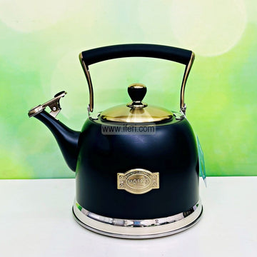 MGFR Stainless Steel Tea Pot, Tea Kettle RY3176