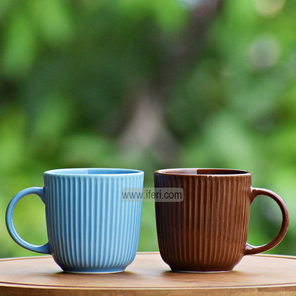 2 Pcs Ceramic Coffee Mug CGA0239