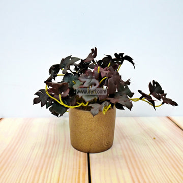 6 Inch Decorative Artificial Plant RY2204
