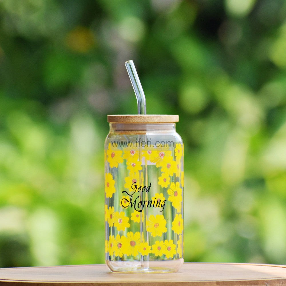 6 Inch Glass Juice Sipper Mug with Straw TB1520