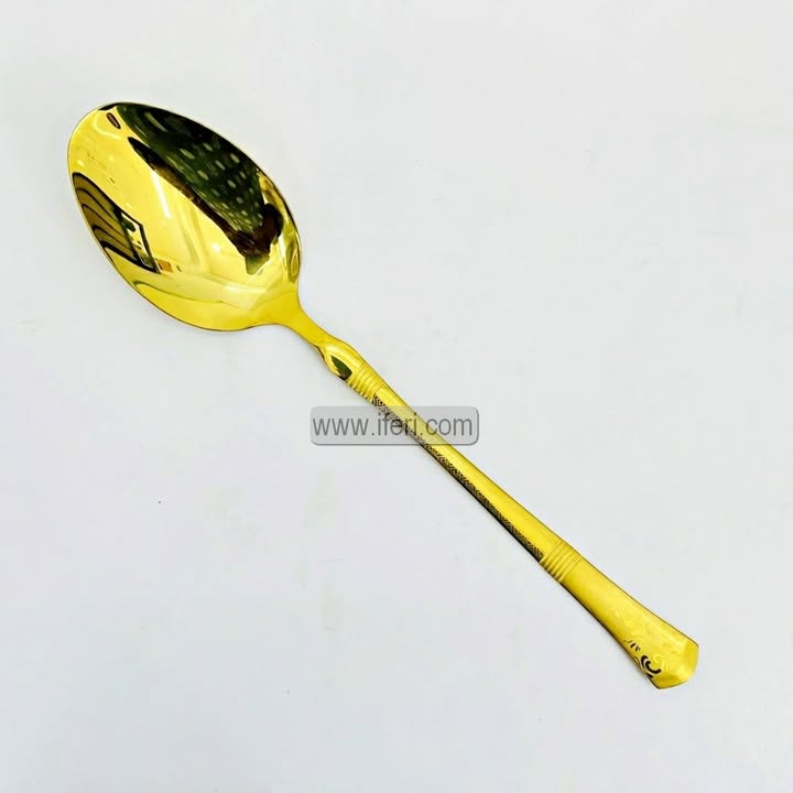 10.5 Inch Stainless Steel Golden Curry Serving Spoon EB21644