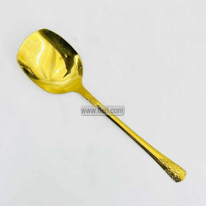 9.8 Inch Stainless Steel Golden Curry Serving Spoon EB21645