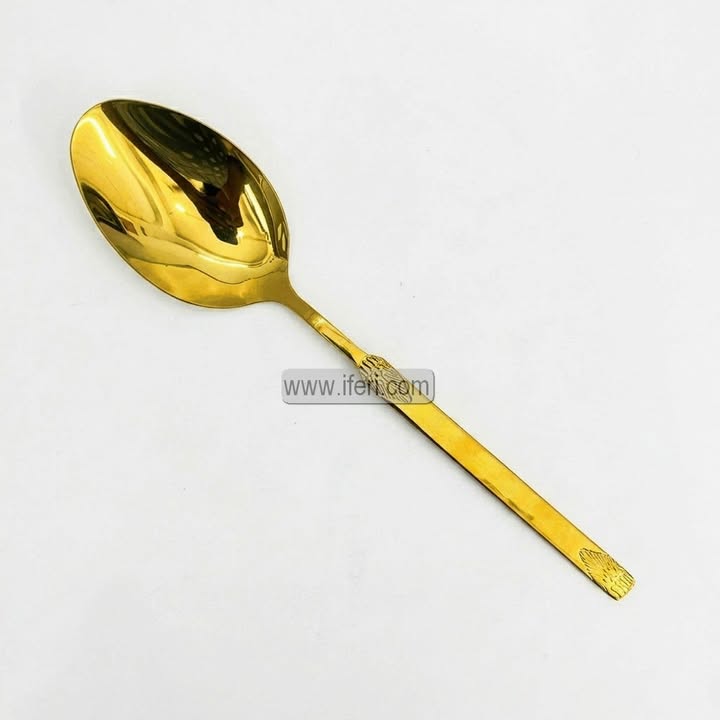 10.5 Inch Stainless Steel Golden Curry Serving Spoon EB21638