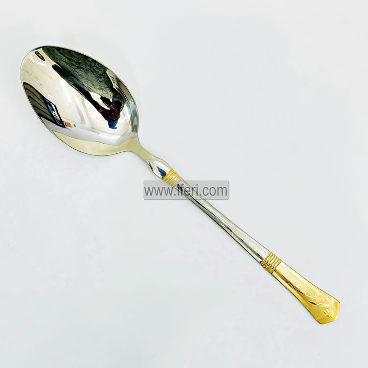 11 inch Stainless Steel Curry Serving Spoon TB1667