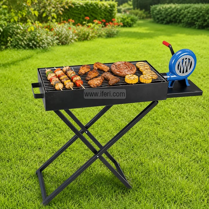 19.5 Inch Portable Barbecue Charcoal Grills with Manual Blower RY36705