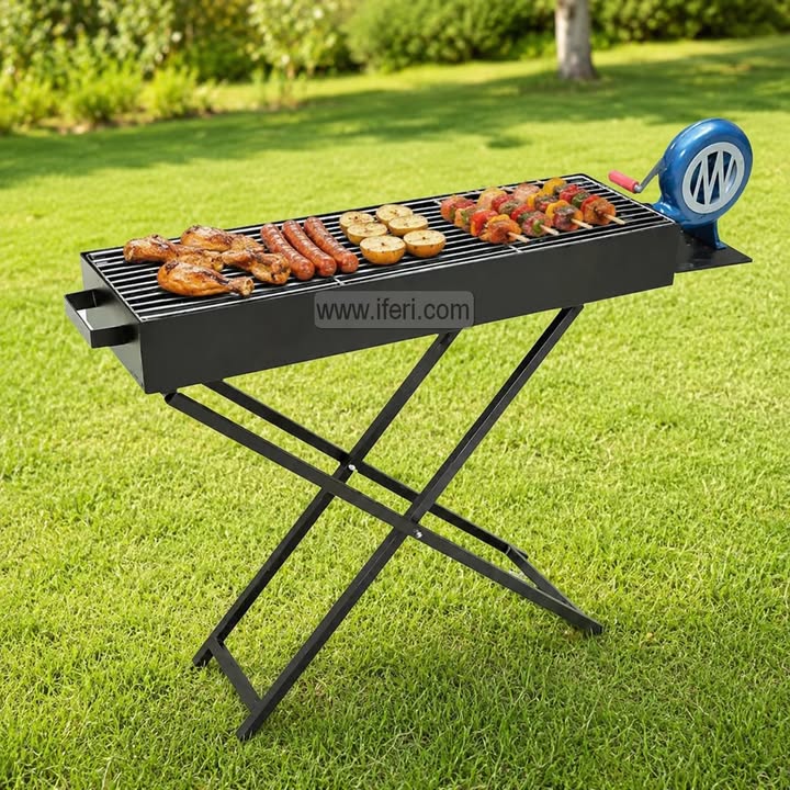 31.2 Inch Portable Barbecue Charcoal Grills with Manual Blower RY36705-1