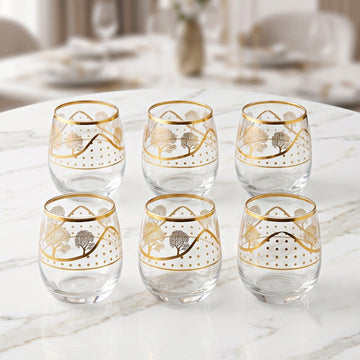 6 Pcs Water Juice Glass Set RH0621