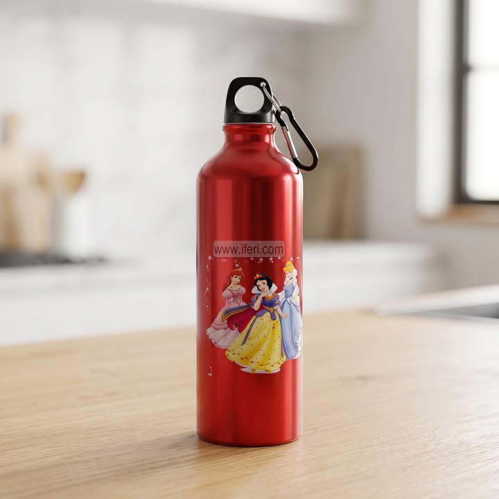 9.5 Inch Steel Water Bottle ALP99015