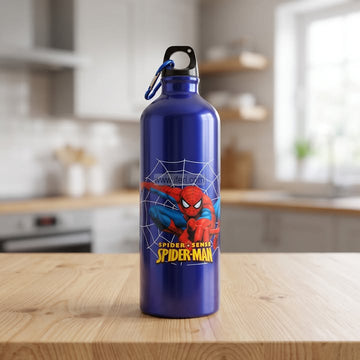 9.5 Inch Steel Water Bottle ALP99016