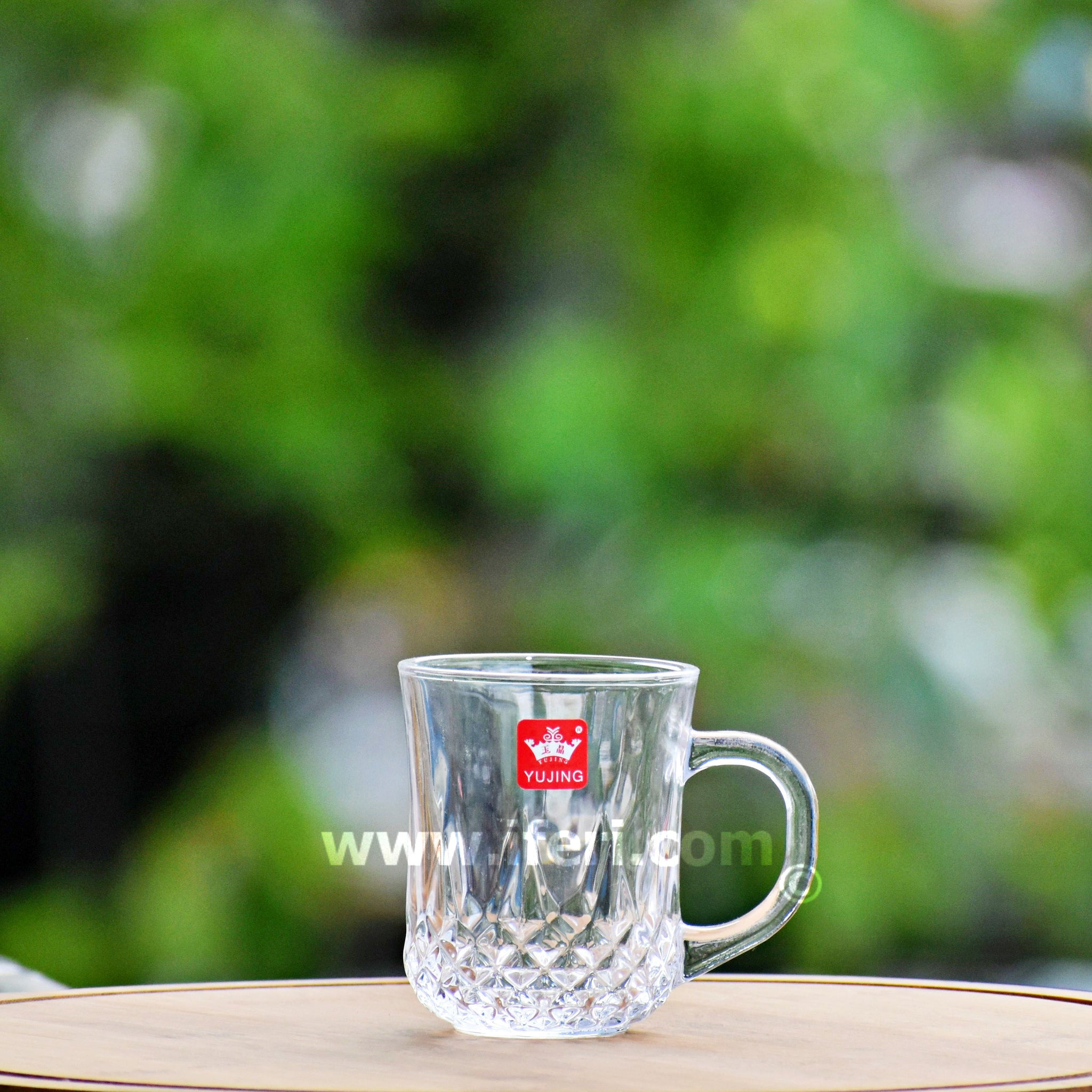 6 Pcs Glass Tea Cup Set RH2066