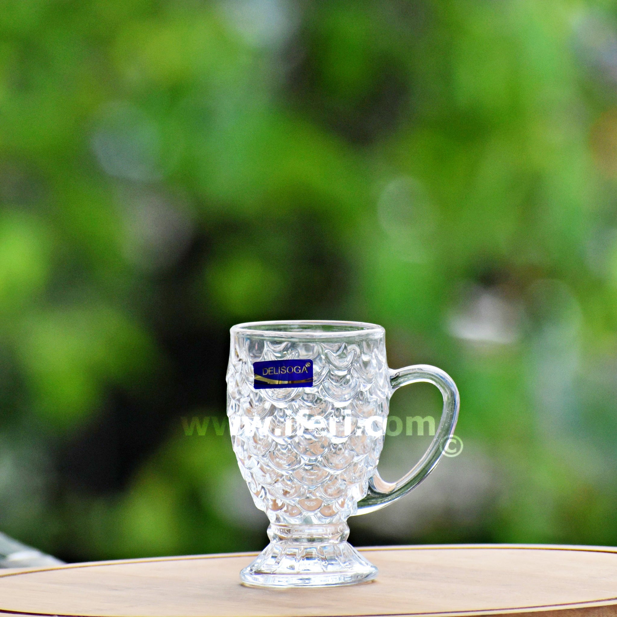 6 Pcs Glass Tea Cup Set RH2068